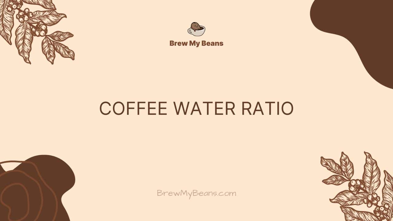 Coffee Water Ratio